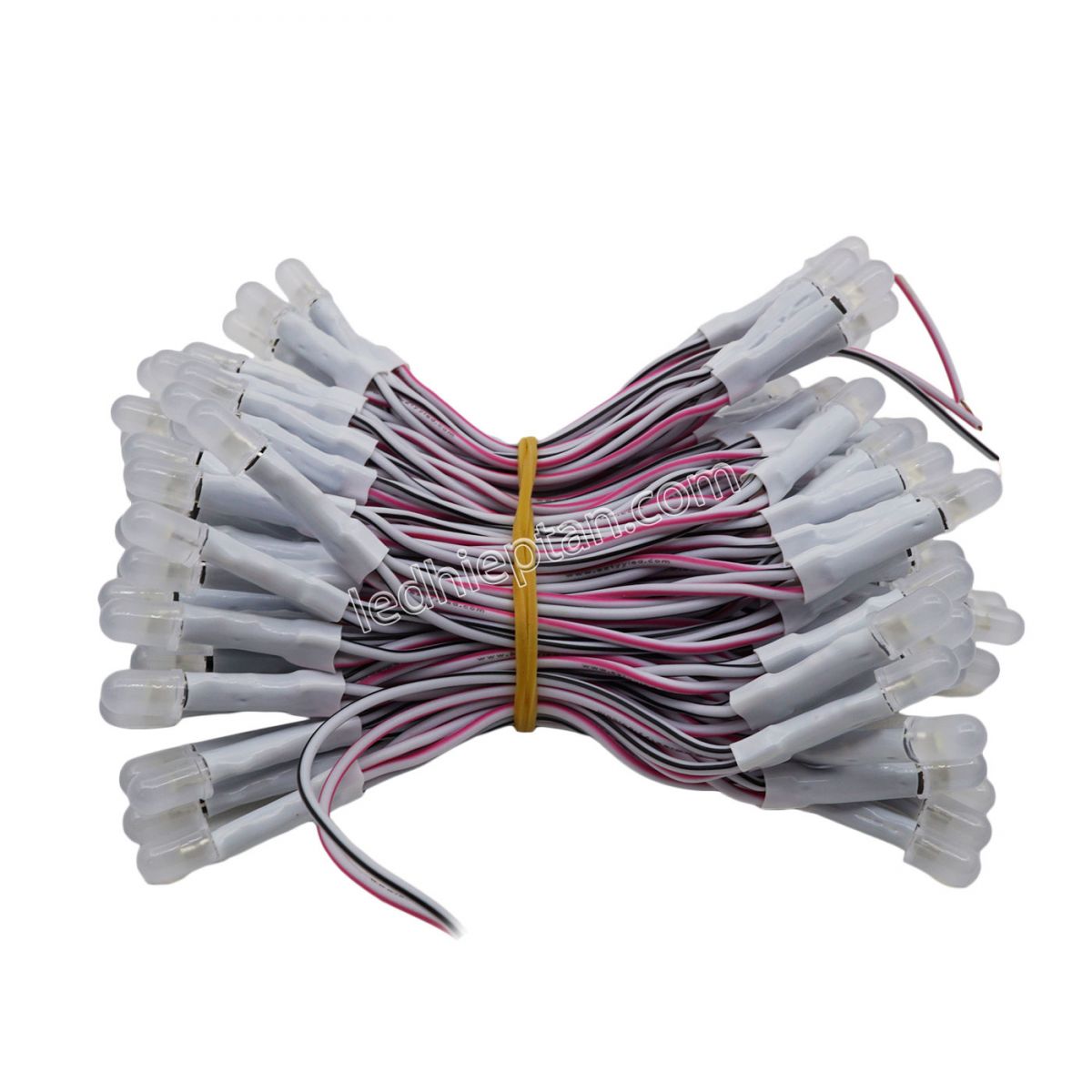 Bịch LED ruồi 5mm 5V TRẮNG TYY