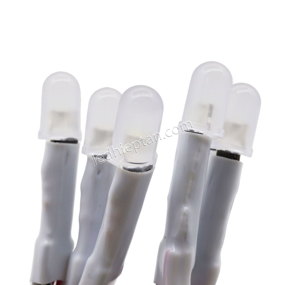 Bịch LED ruồi 5mm 5V TRẮNG TYY