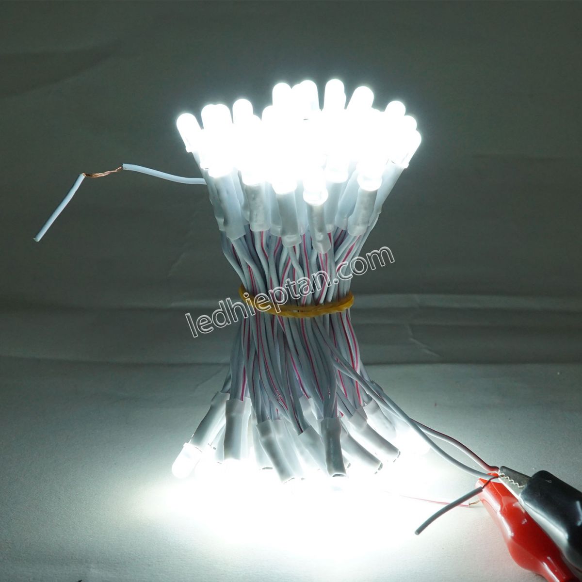 Bịch LED ruồi 5mm 5V TRẮNG TYY