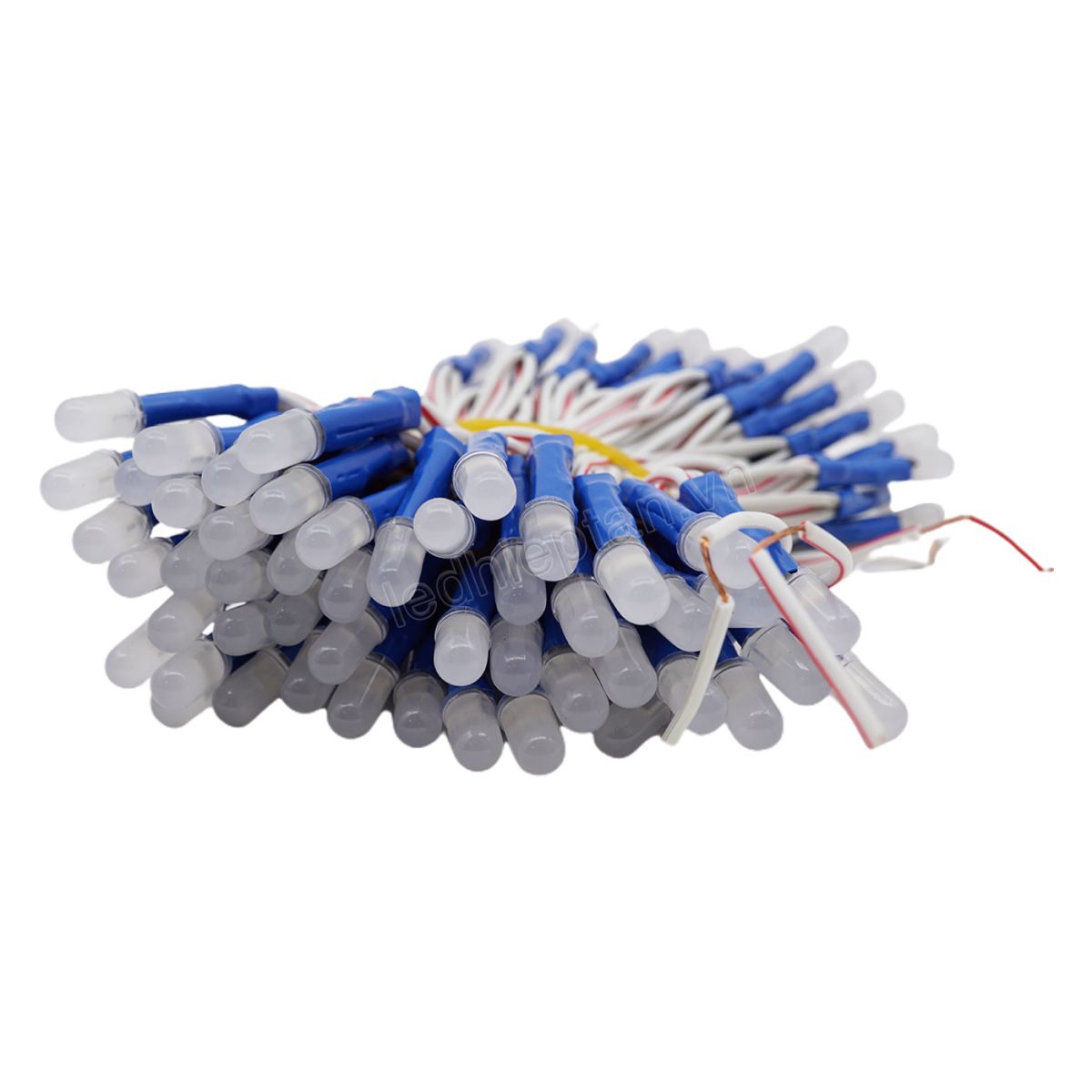 Bịch led ruồi 5mm 5V DƯƠNG TYY