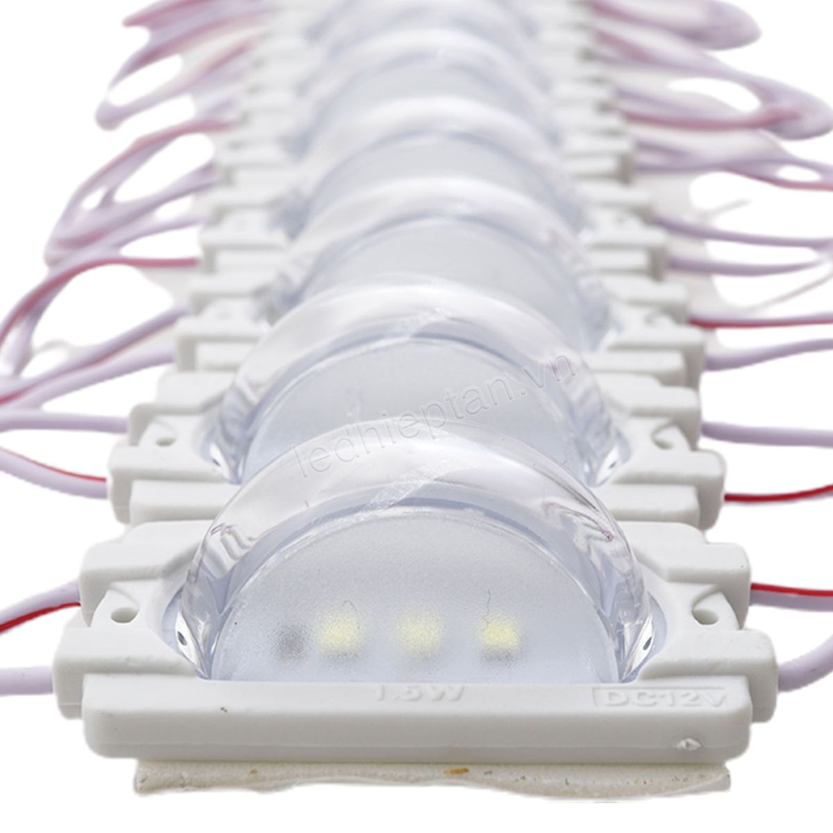 Module 1 bóng 2545 LT TRẮNG 1.5W 12V IP66