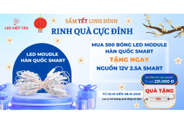 Led Royal Dĩ An Bình Dương 20