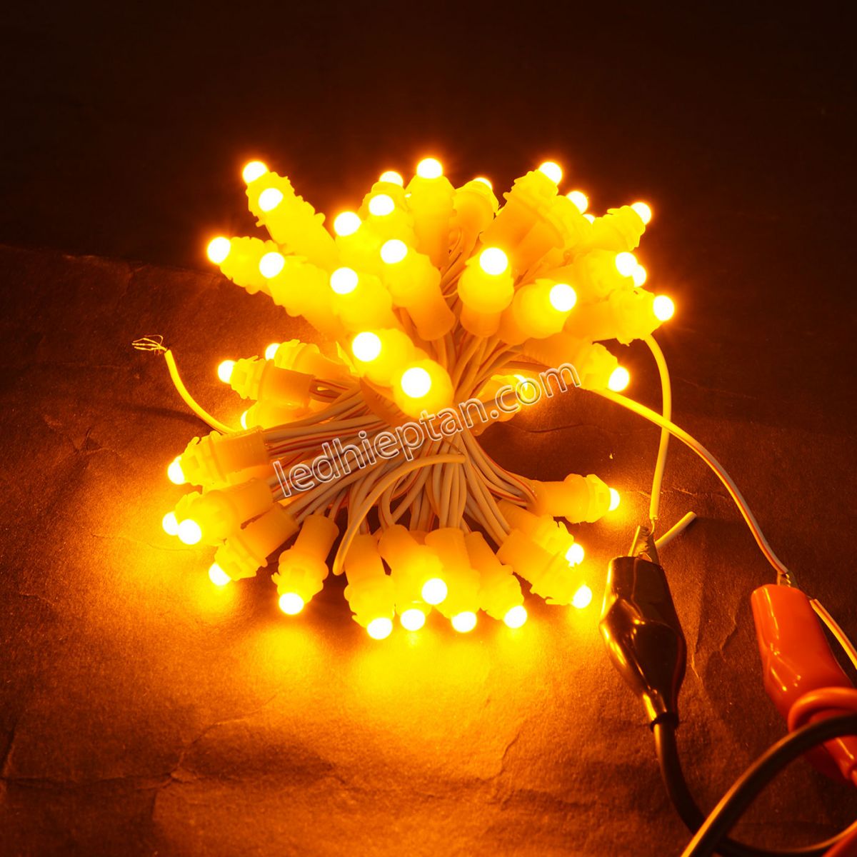LED F5 12V VÀNG HC