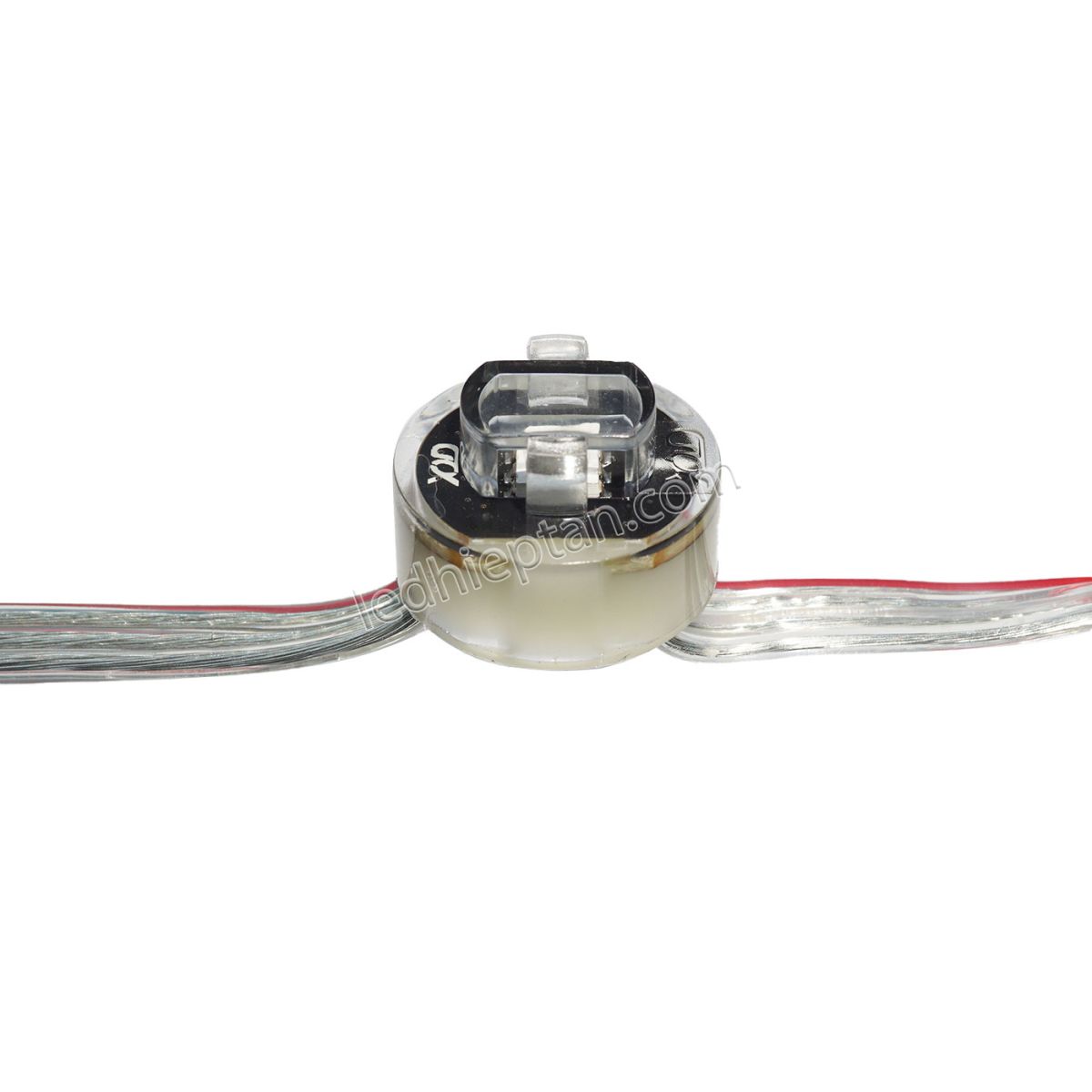 LED full color 12mm đế 20mm XQD