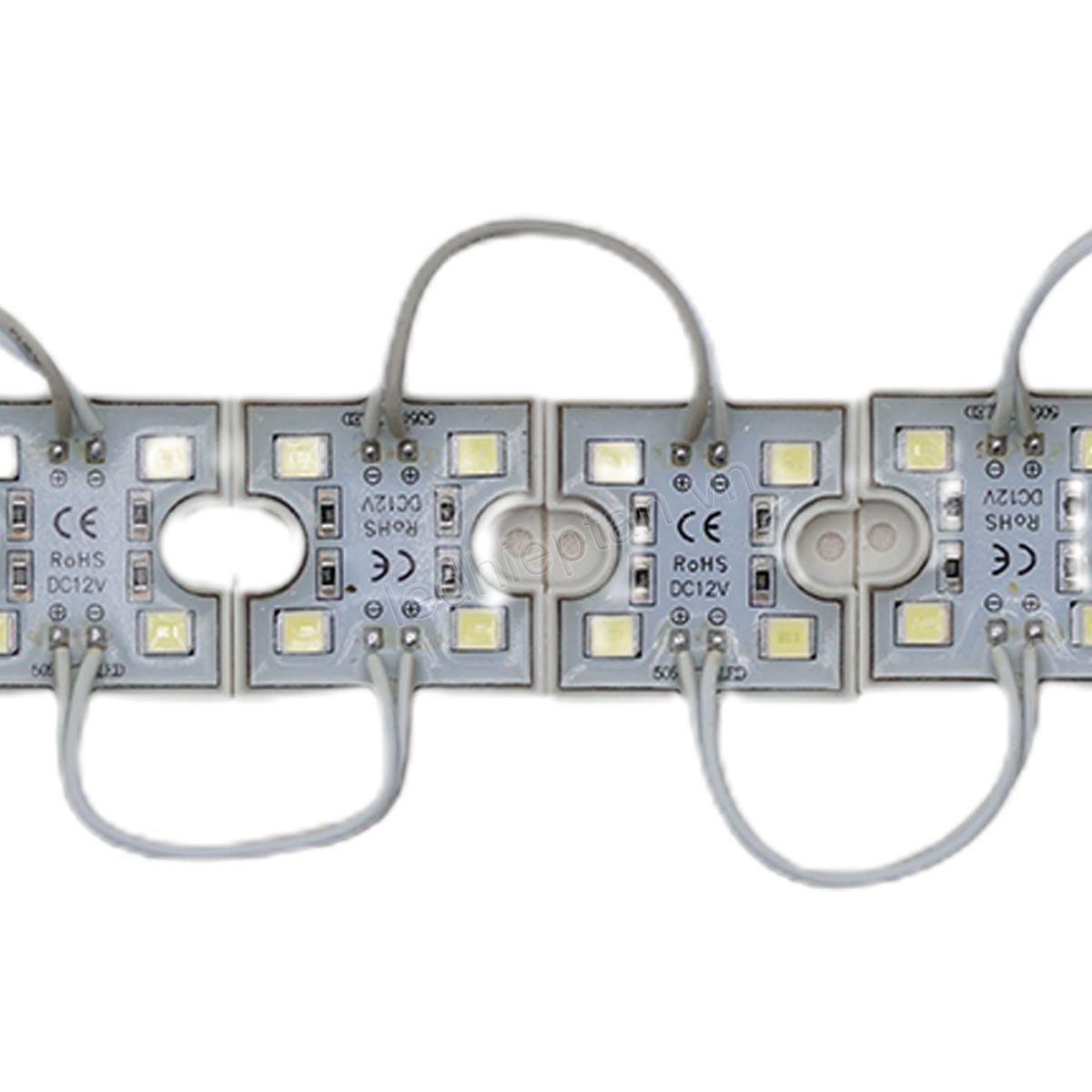 Module 4 bóng 3636 TRẮNG tim 5054 JS
