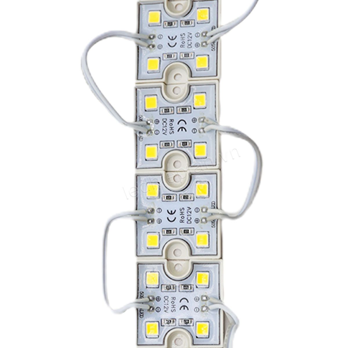 Module 4 bóng 3636 WW tim 5054 JS