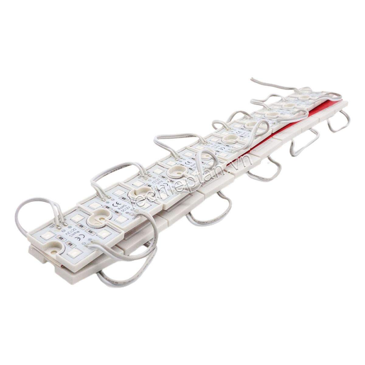 Module 4 bóng 3636 ĐỎ tim 5054 JS