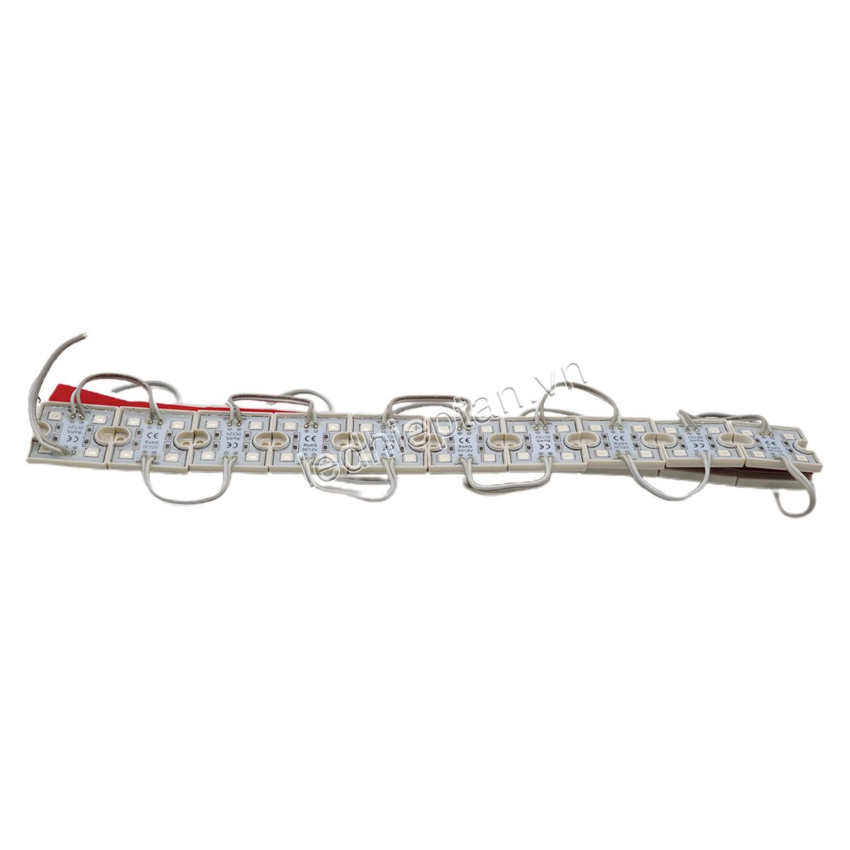 Module 4 bóng 3636 ĐỎ tim 5054 JS