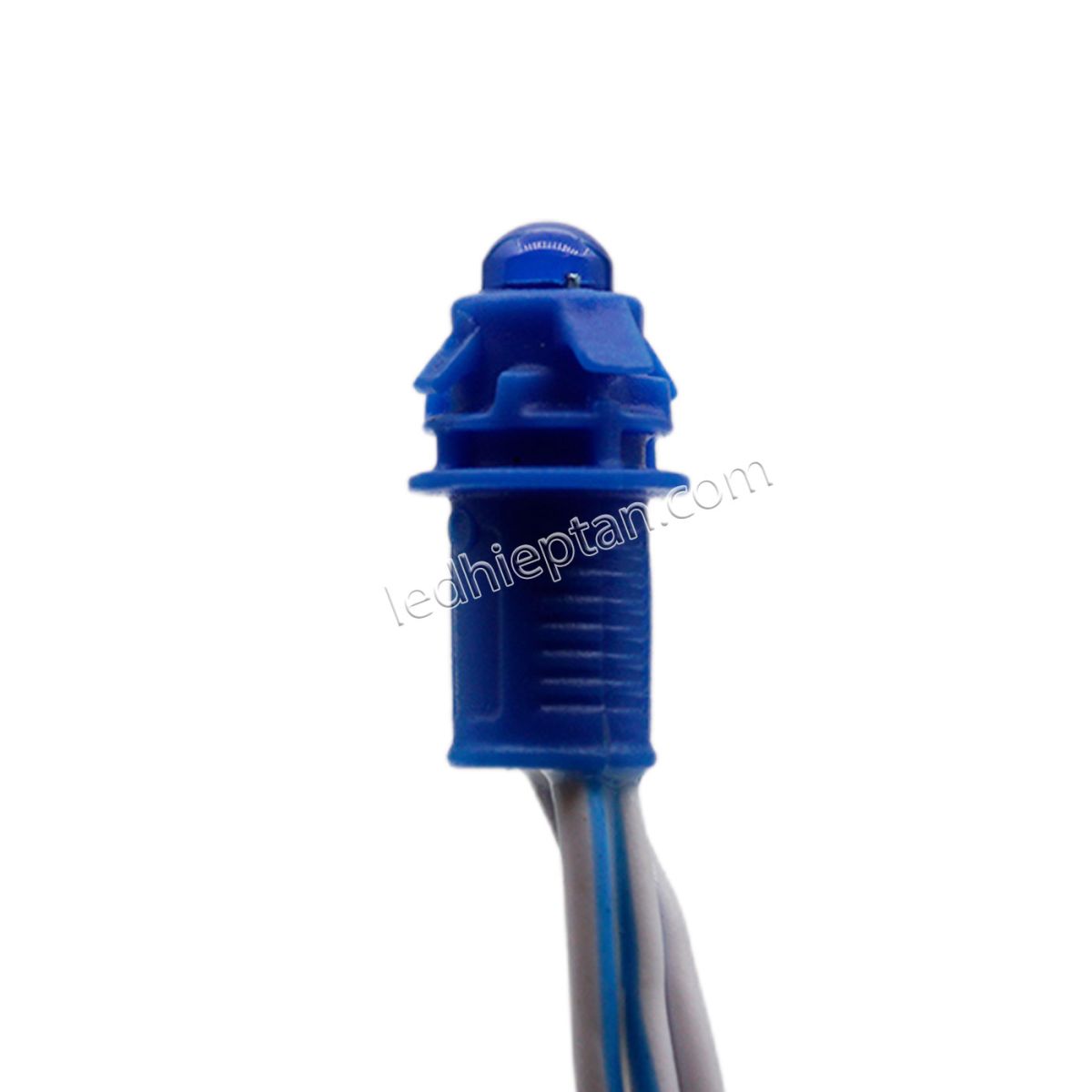 LED F5 12v XANH DƯƠNG