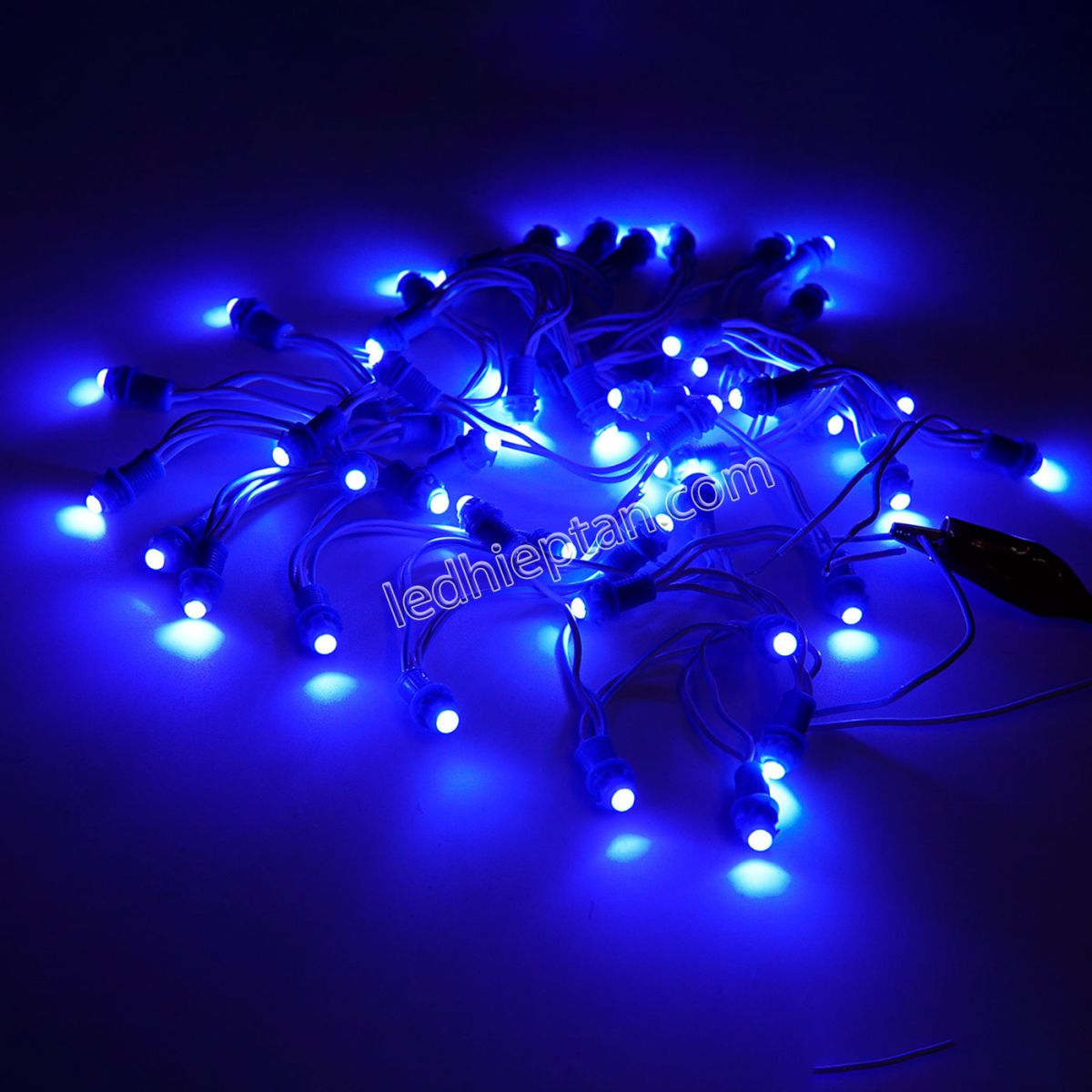 LED F5 12v XANH DƯƠNG
