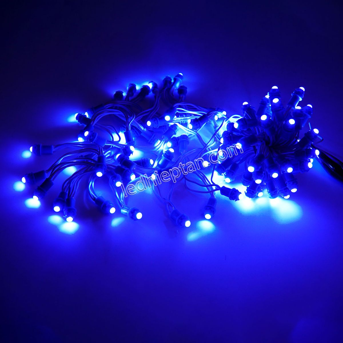 LED F5 12v XANH DƯƠNG