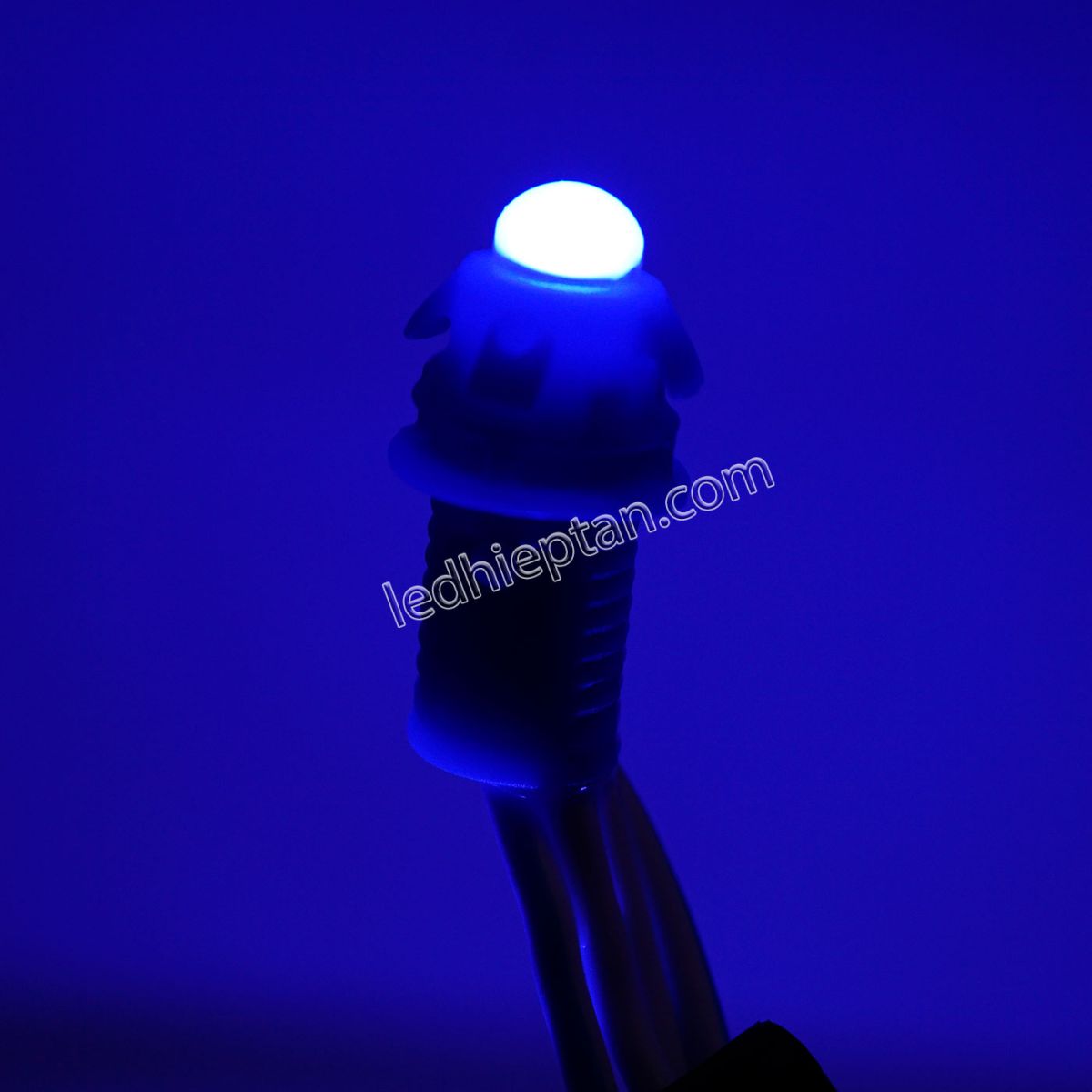 LED F5 12v XANH DƯƠNG
