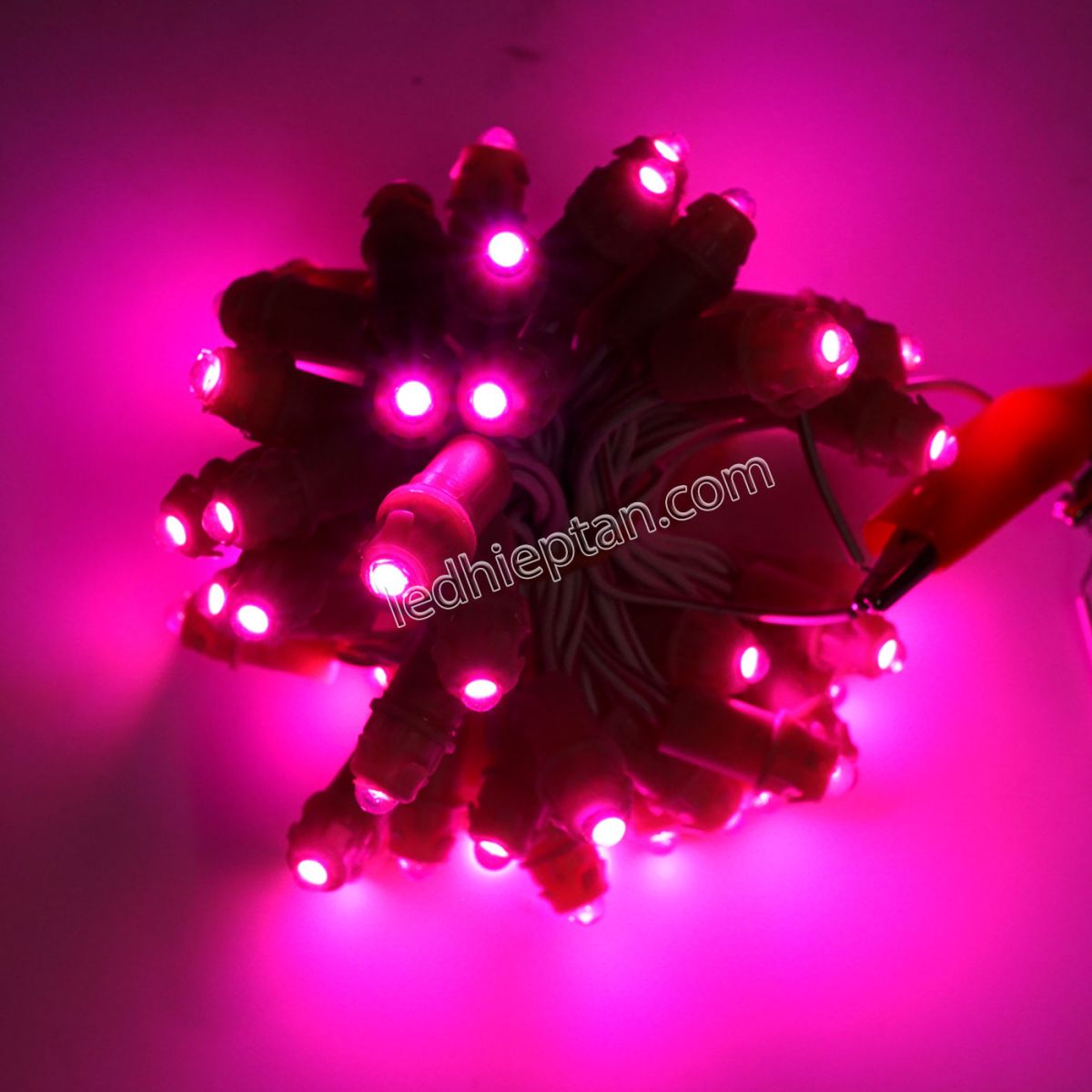 LED F5 5v HỒNG