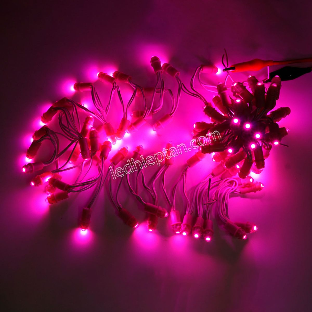 LED F5 5v HỒNG
