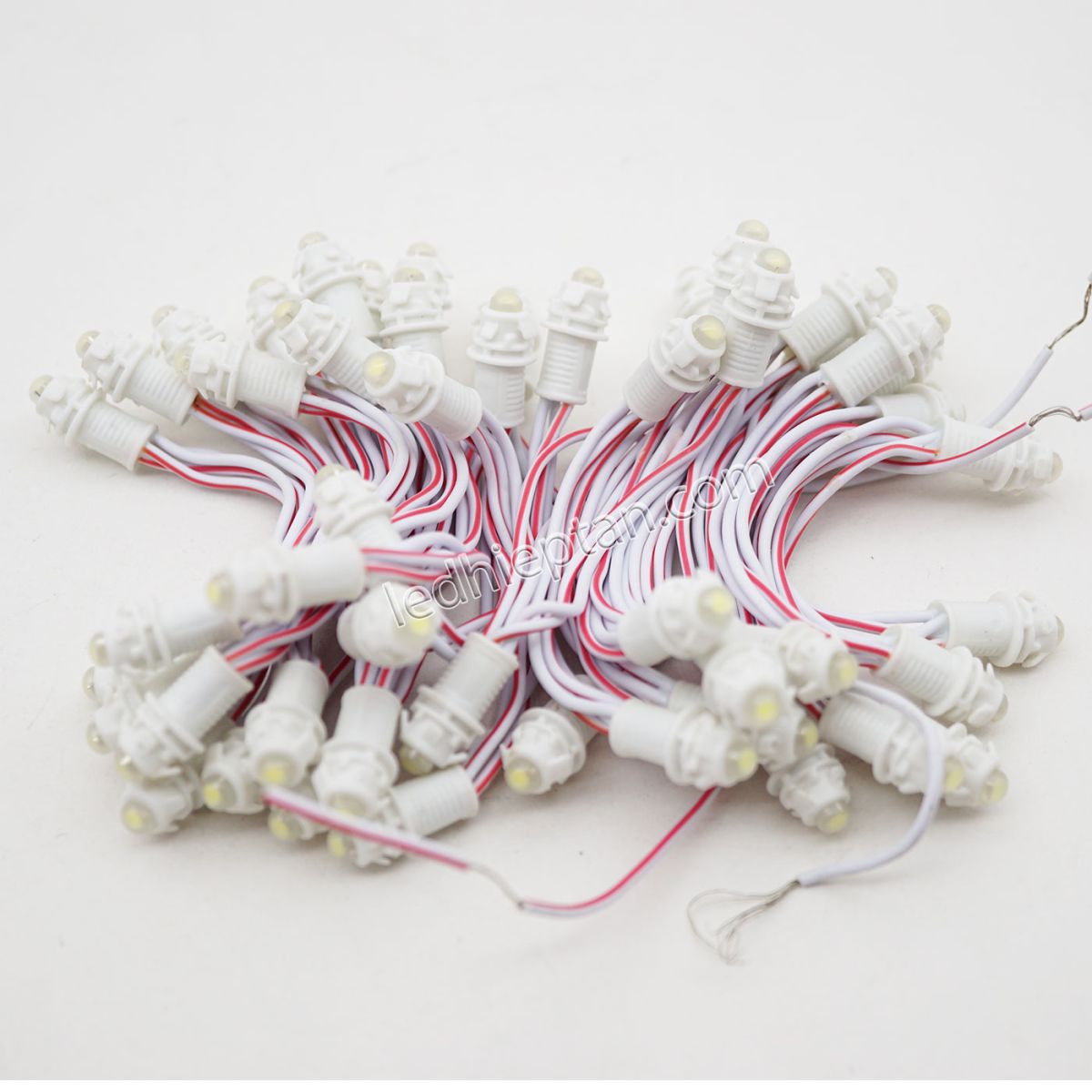 LED F5 12v TRẮNG