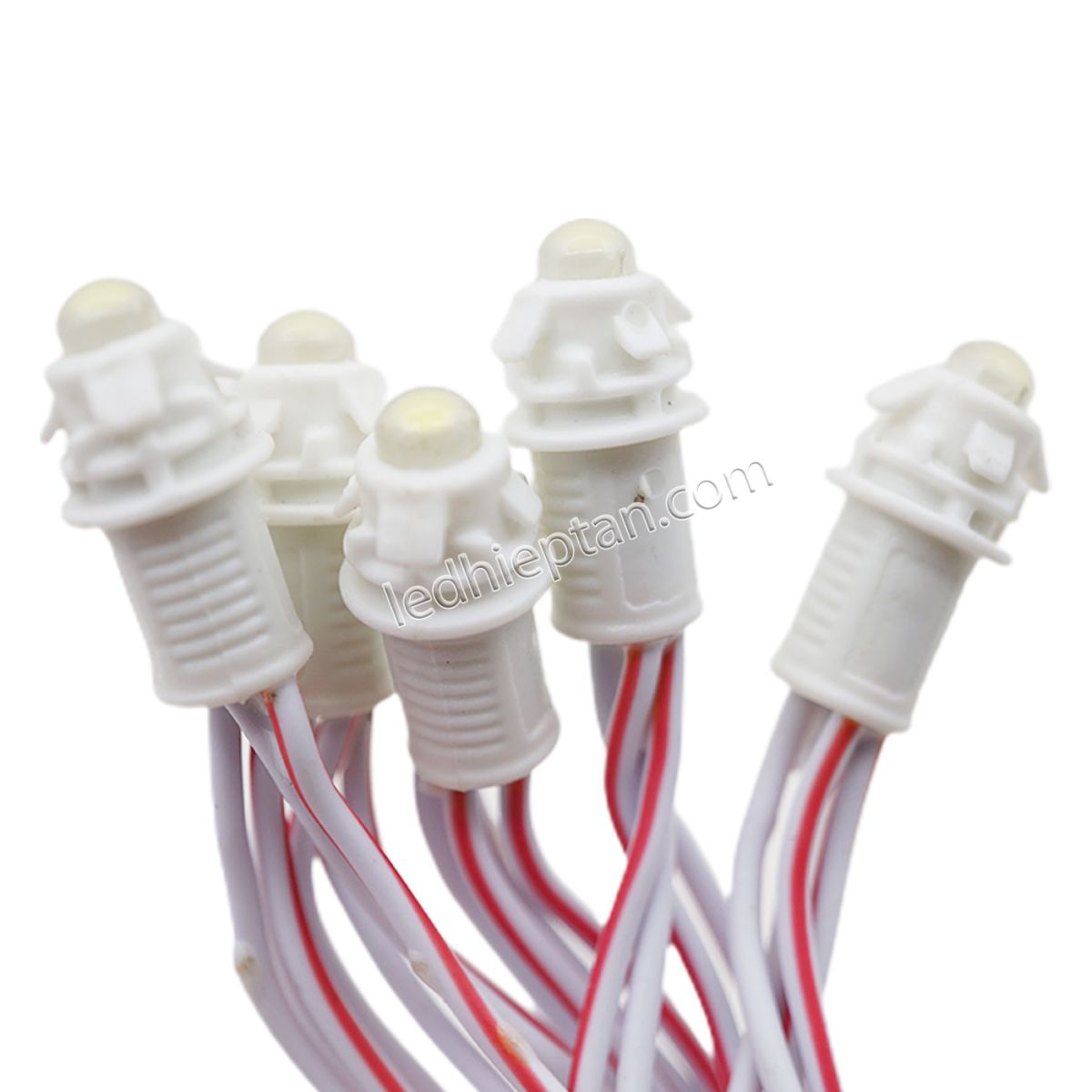 LED F5 12v TRẮNG