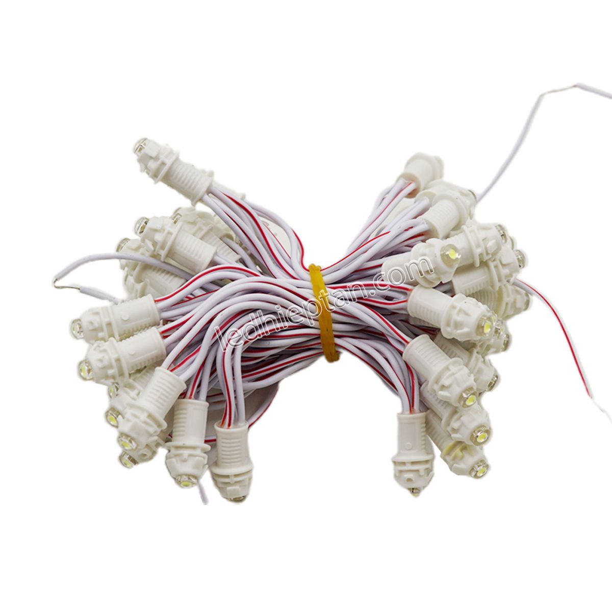 LED F5 12v TRẮNG
