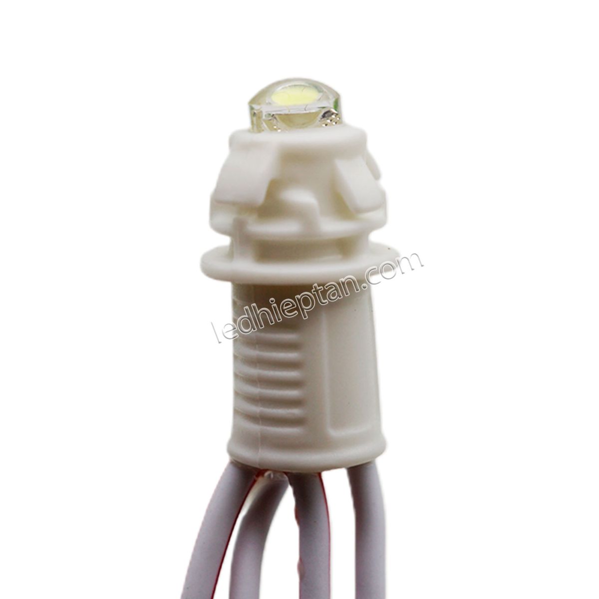 LED F5 12v TRẮNG