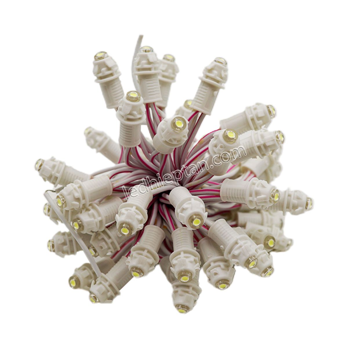 LED F5 12v TRẮNG