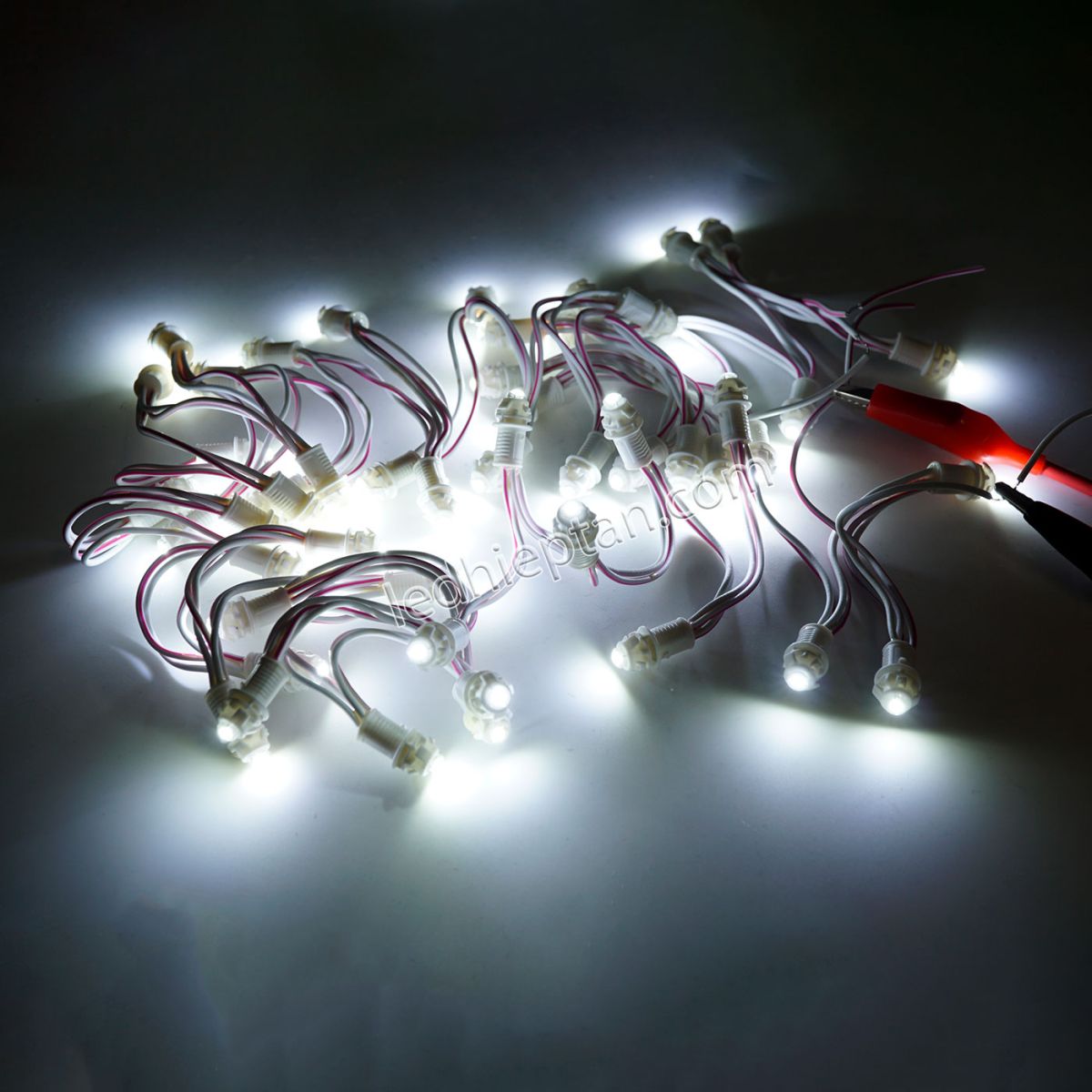 LED F5 12v TRẮNG