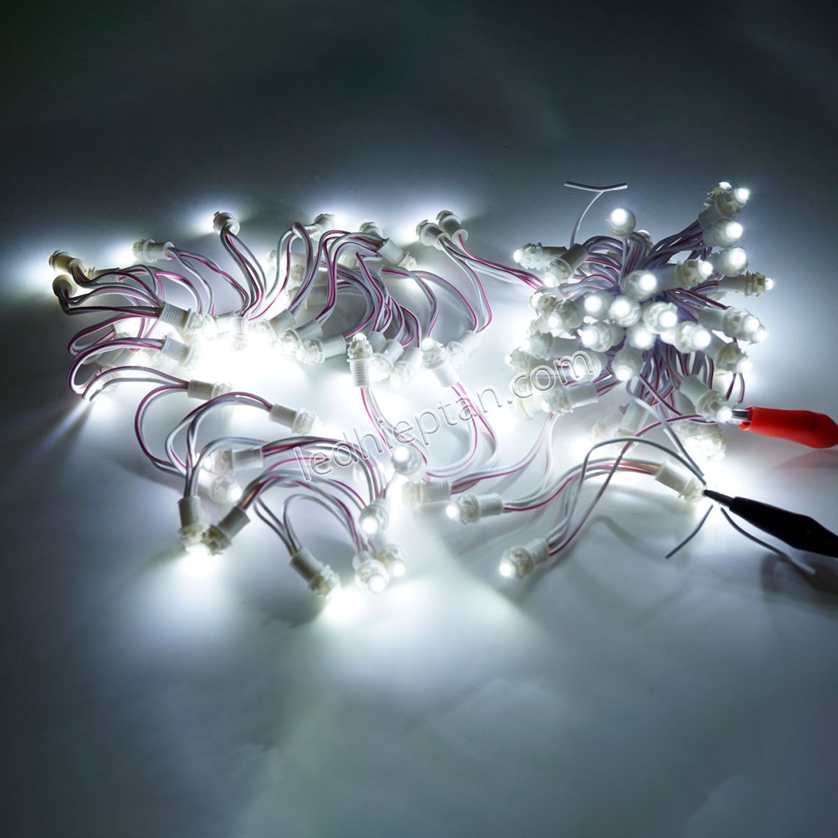 LED F5 12v TRẮNG