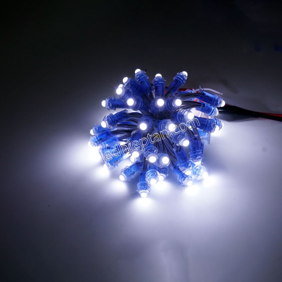 LED F5 5v TRẮNG