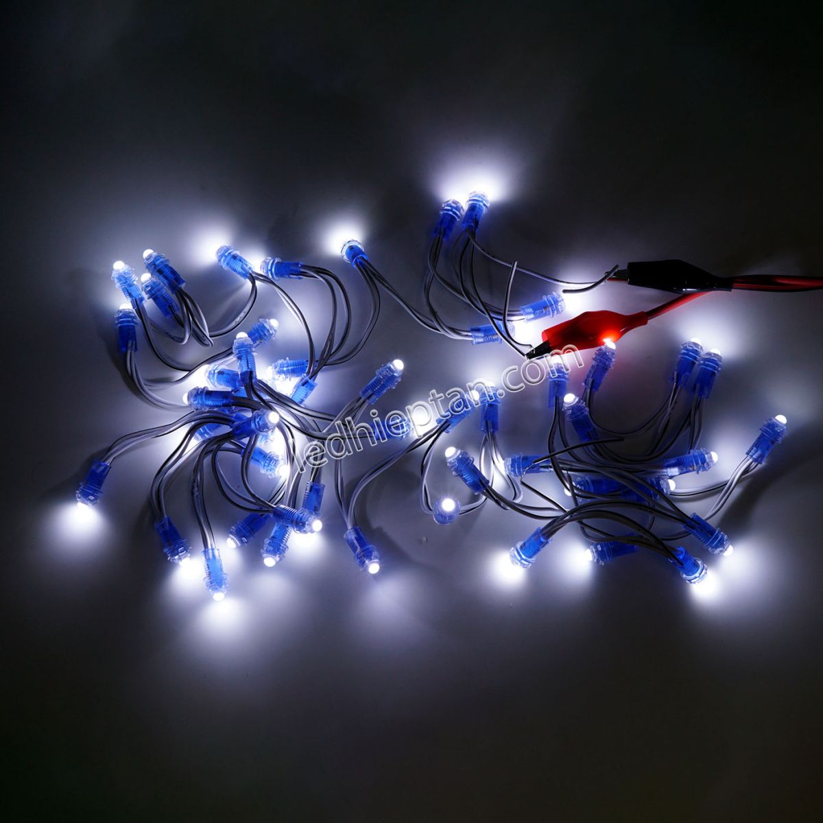 LED F5 5v TRẮNG