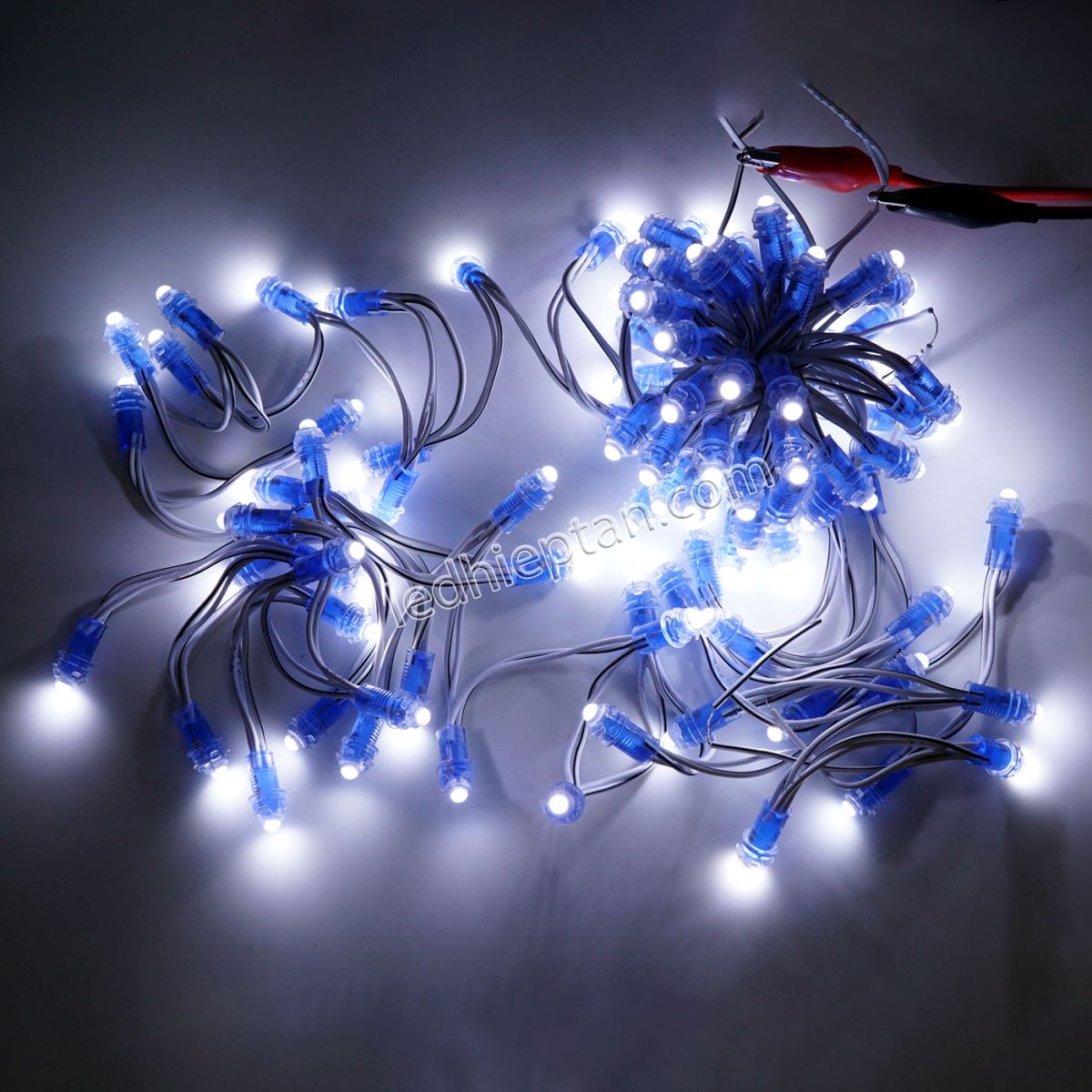 LED F5 5v TRẮNG