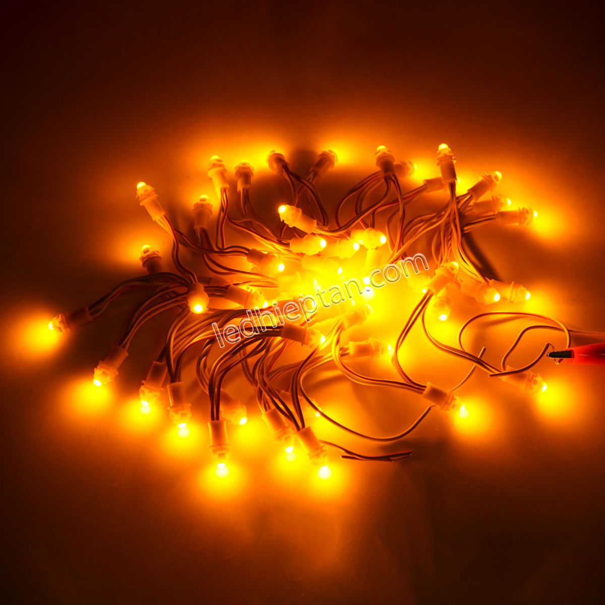 >LED F5 12v VÀNG