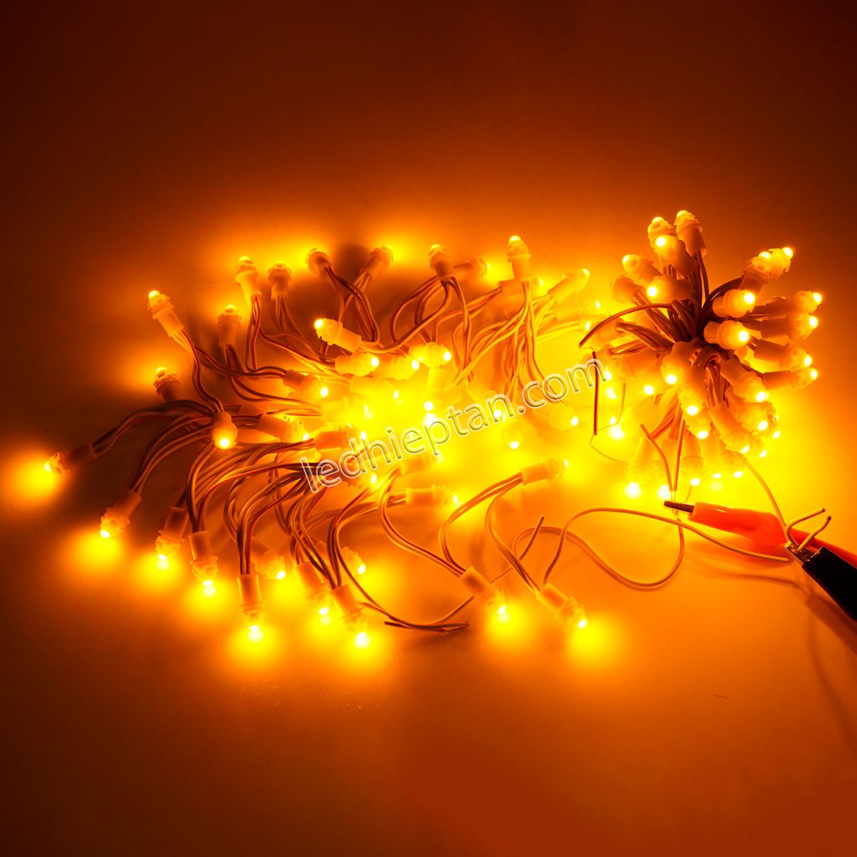 >LED F5 12v VÀNG