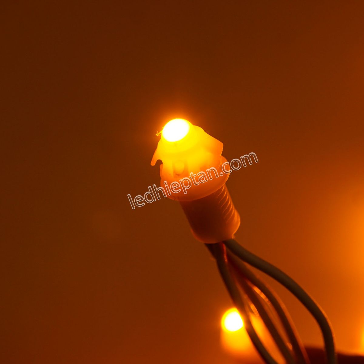 >LED F5 12v VÀNG