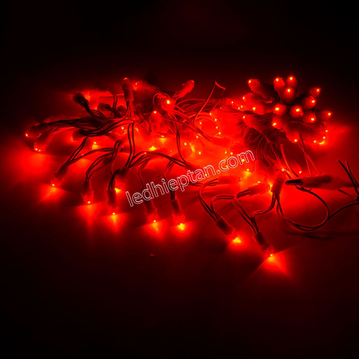 LED F5 12v ĐỎ