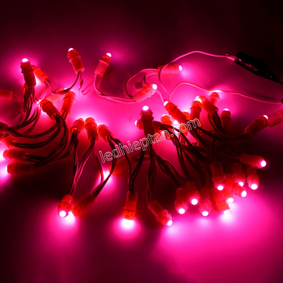 LED F5 12v HỒNG