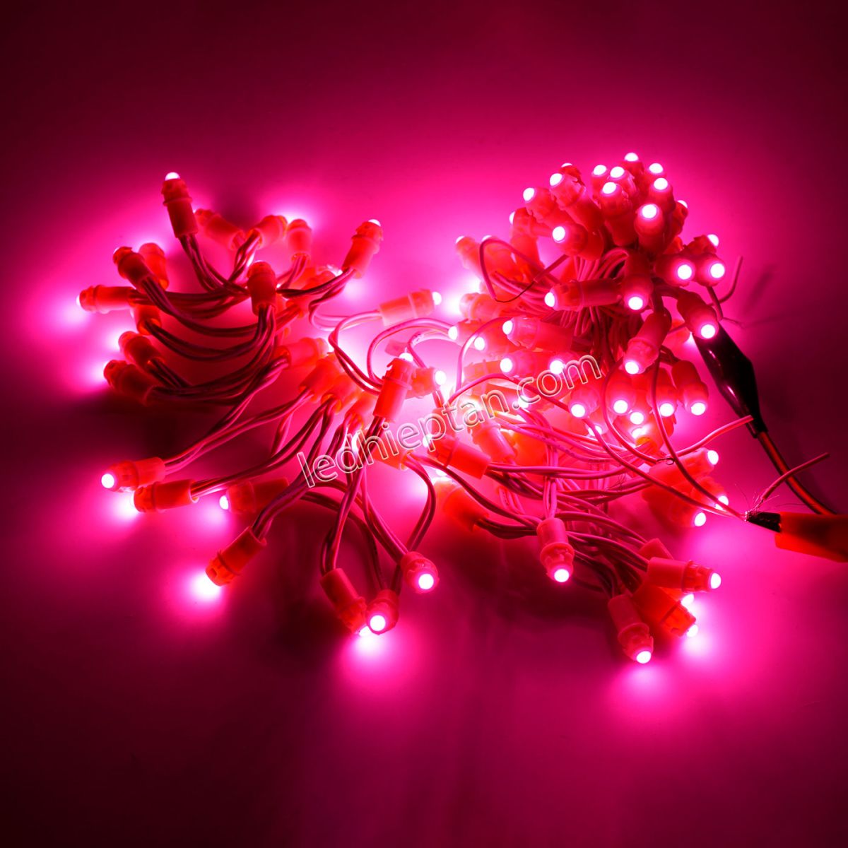LED F5 12v HỒNG
