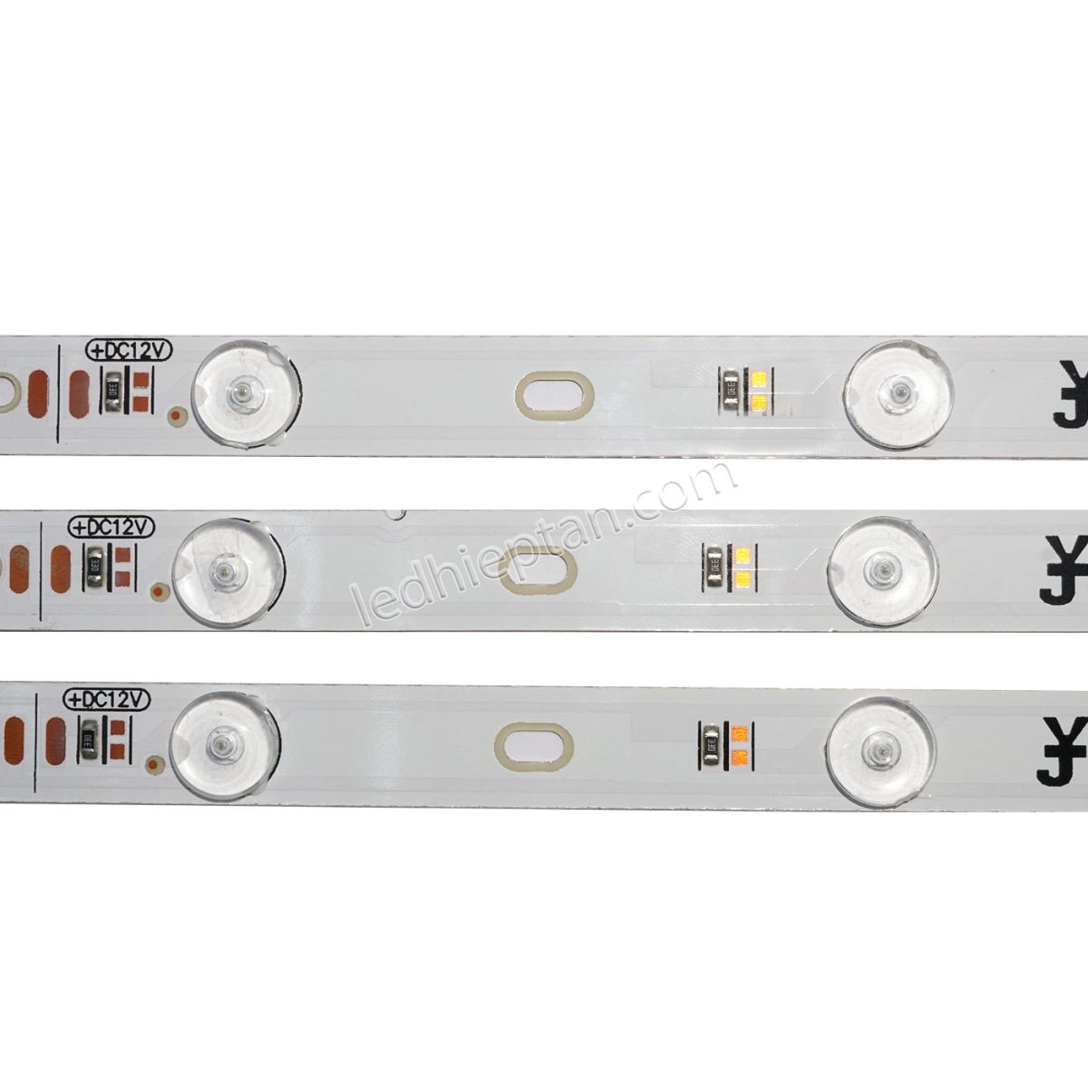 LED cây hộp đèn trong nhà LR
