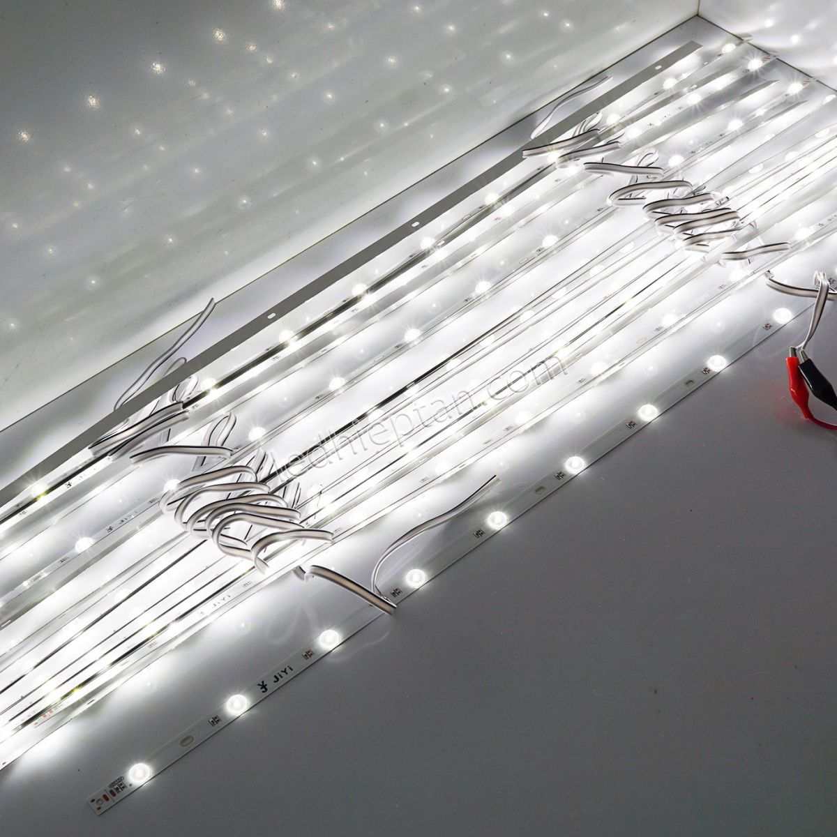 LED cây hộp đèn trong nhà LR