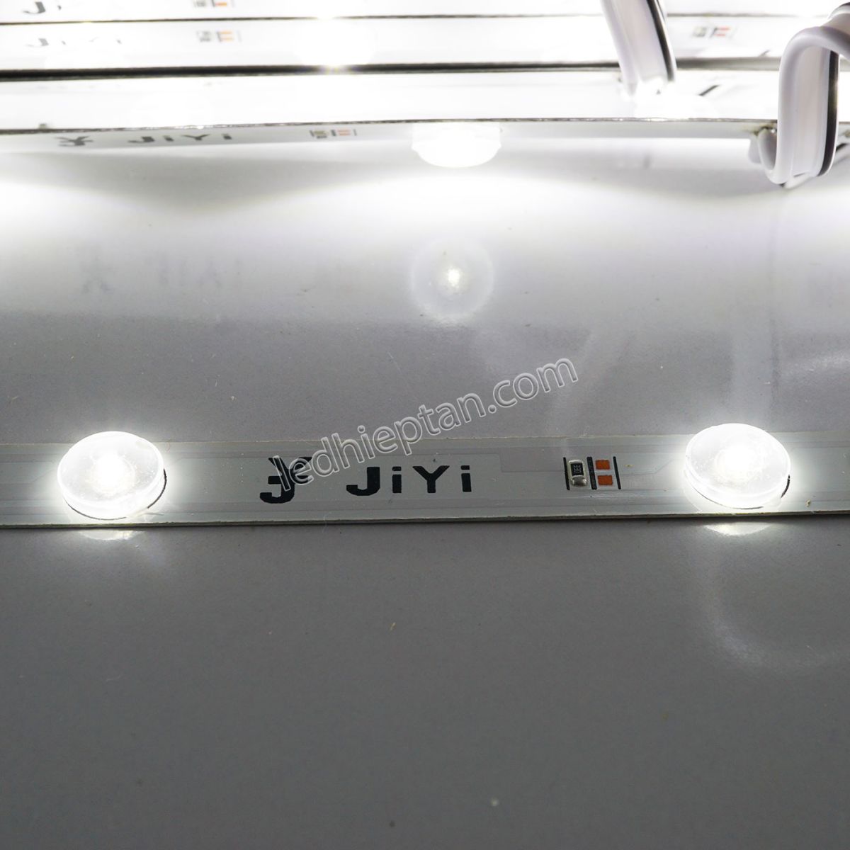 LED cây hộp đèn trong nhà LR