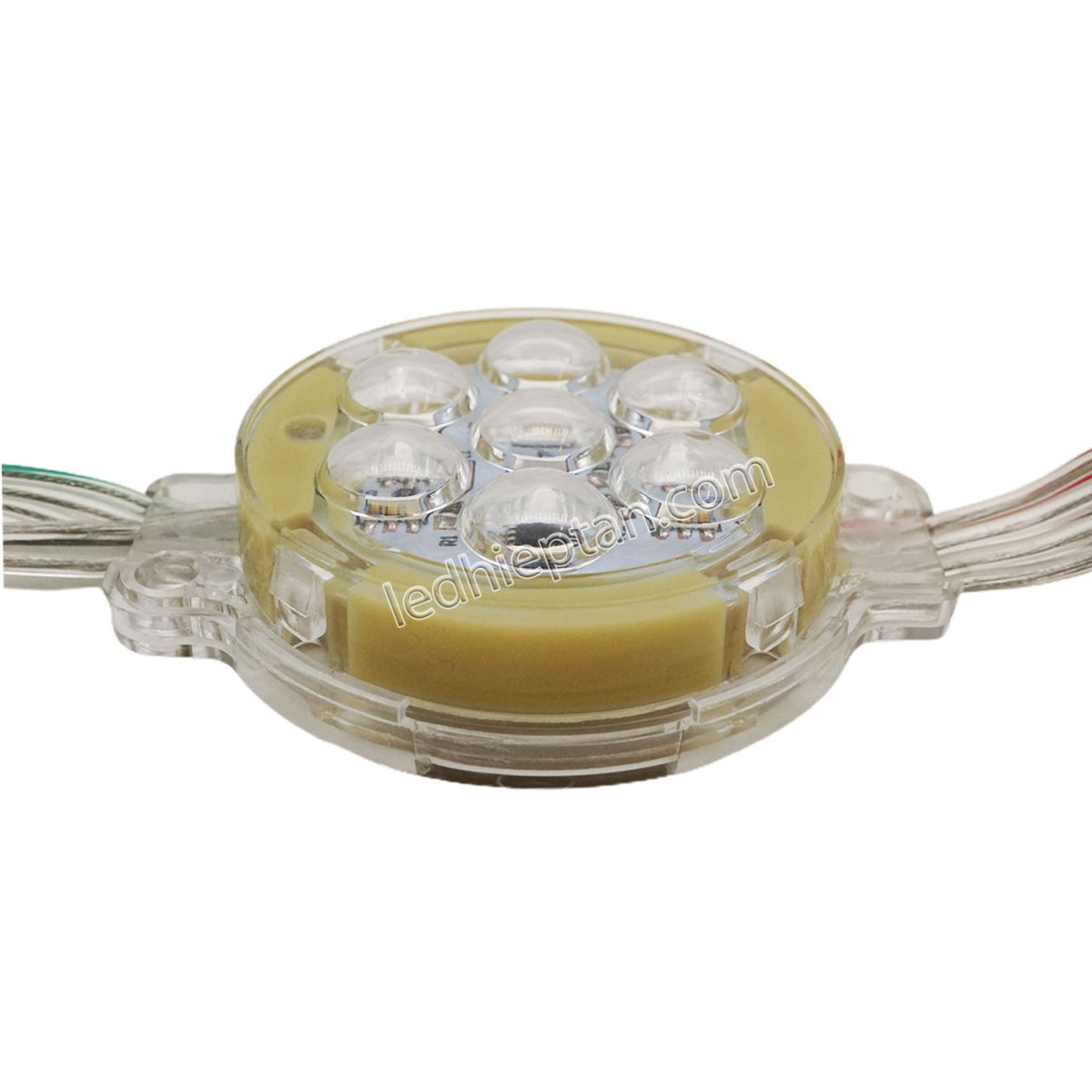 LED bát 50mm IC8206 dây dài 50cm
