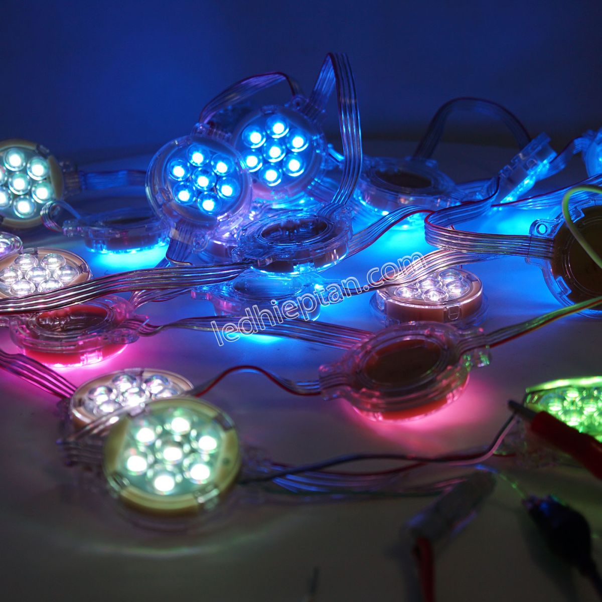 LED bát 50mm IC8206 dây dài 50cm