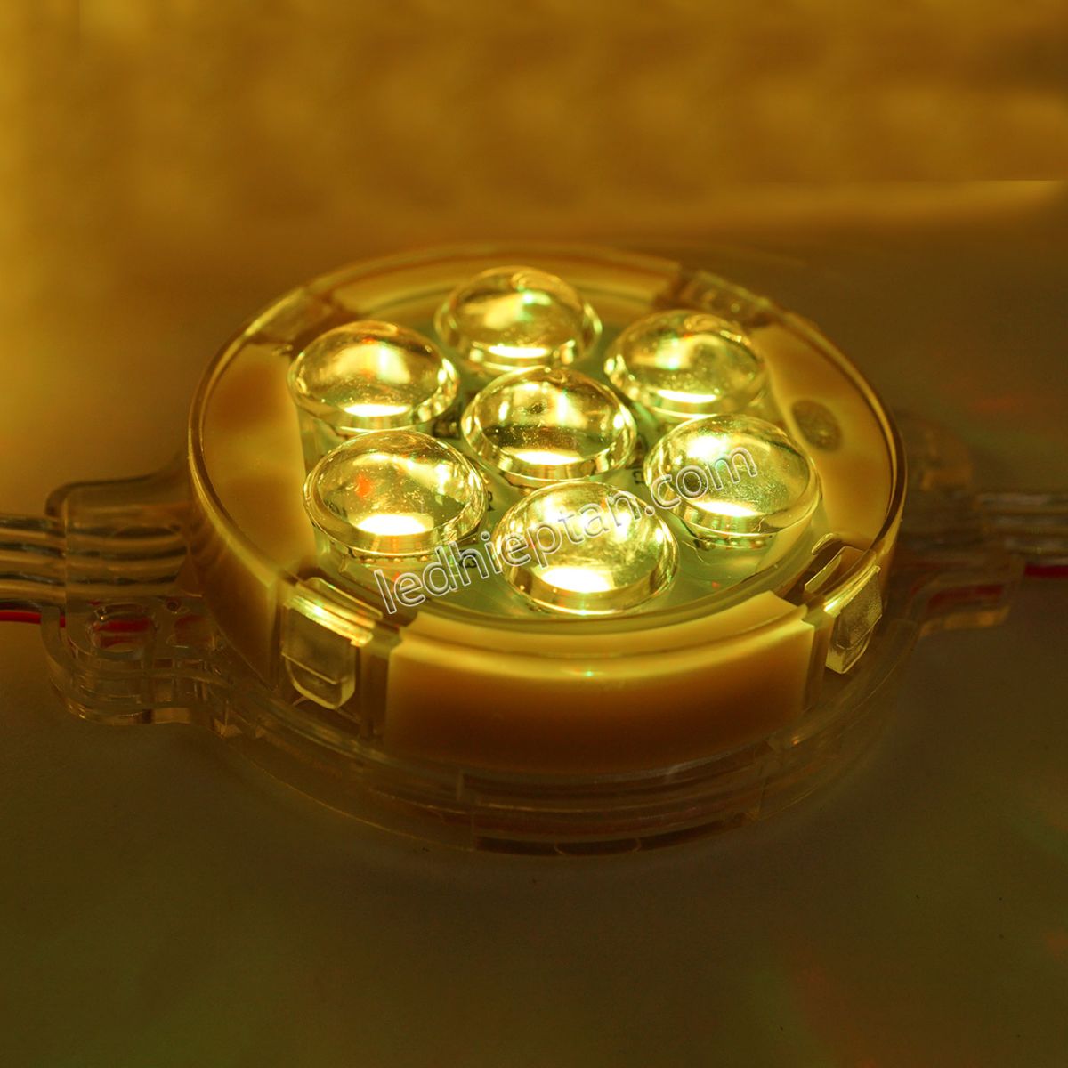LED bát 50mm IC8206 dây dài 50cm