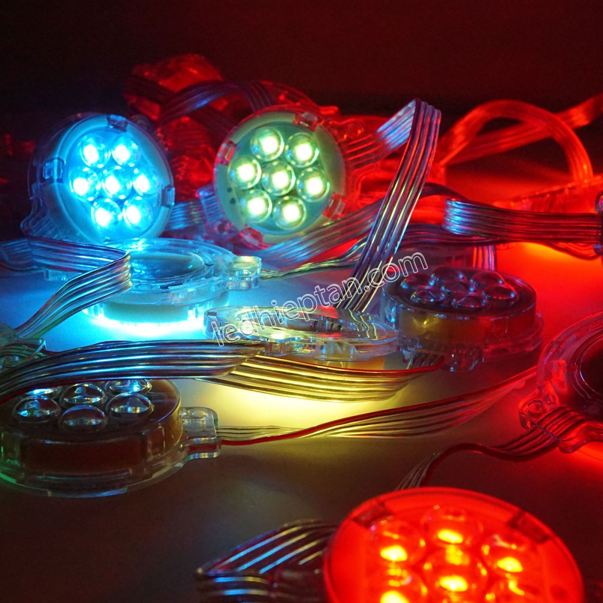 LED bát 50mm IC8206 dây dài 50cm