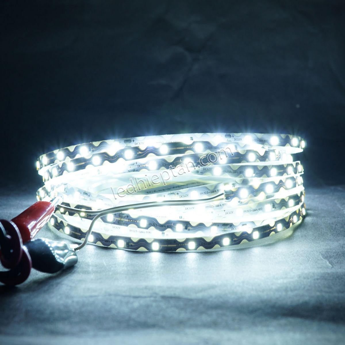 Dây Ziczac 2835- S 60led IP20 trắng 12V cuộn 10m