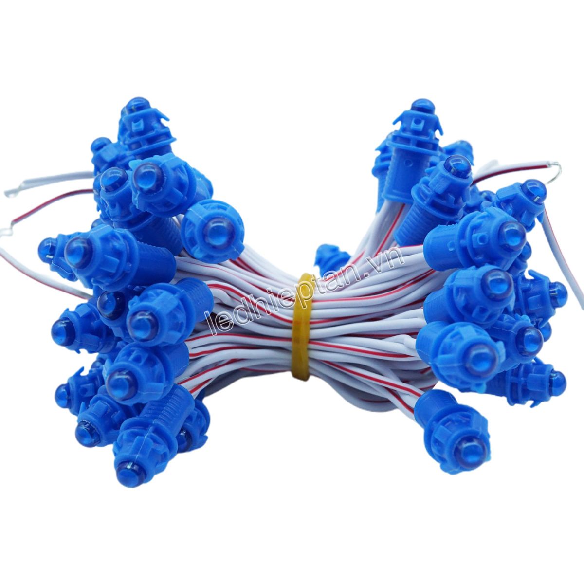 LED F5 12V DƯƠNG HC