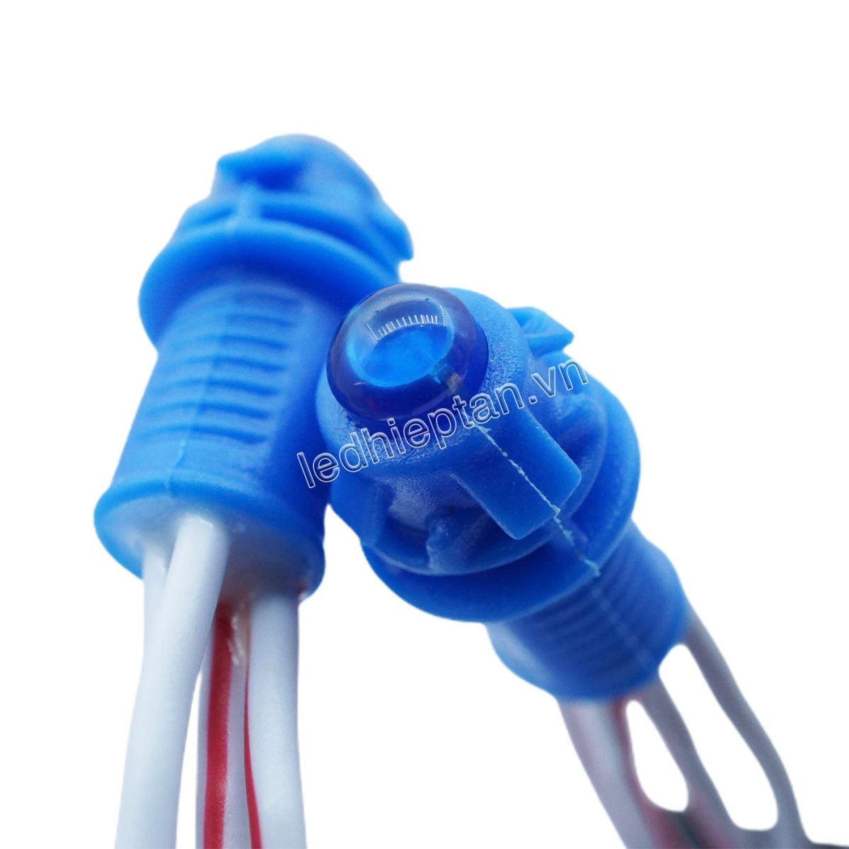 LED F5 12V DƯƠNG HC