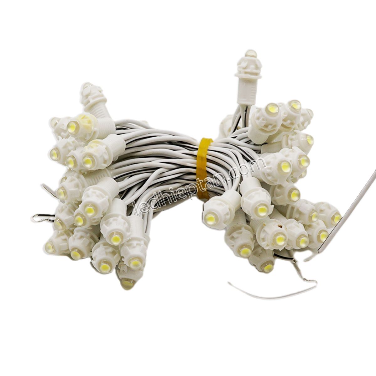 LED F5 12V Trắng