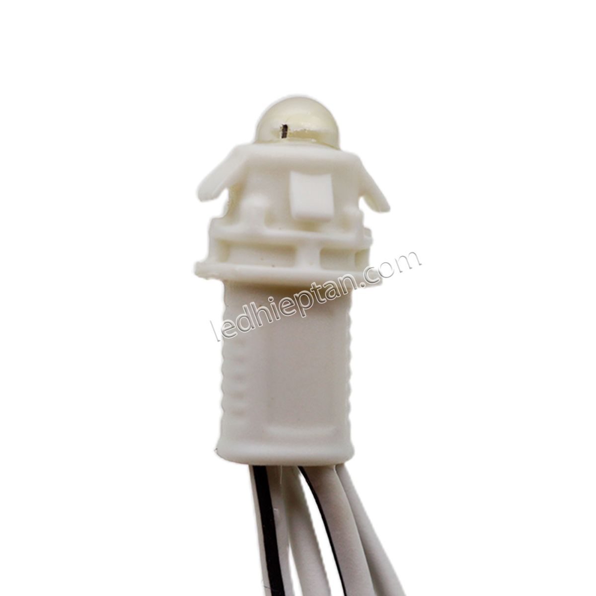 LED F5 12V Trắng