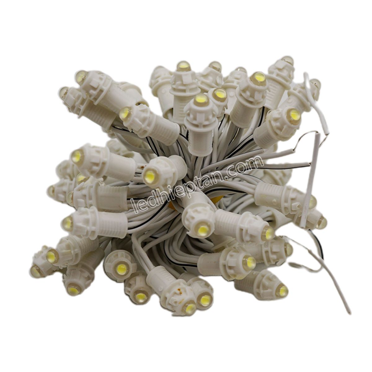 LED F5 12V Trắng