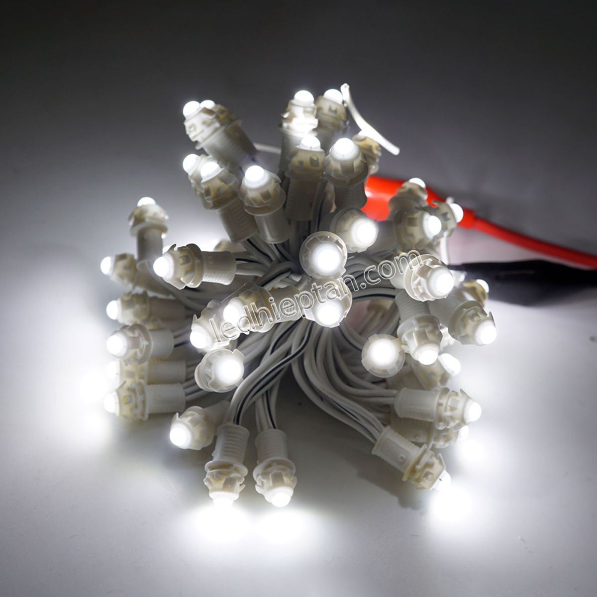 LED F5 12V Trắng