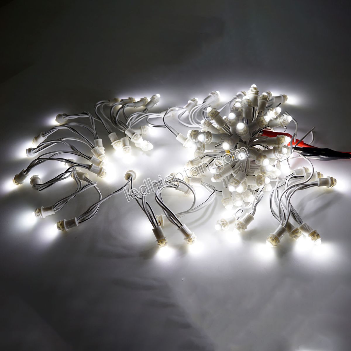 LED F5 12V Trắng