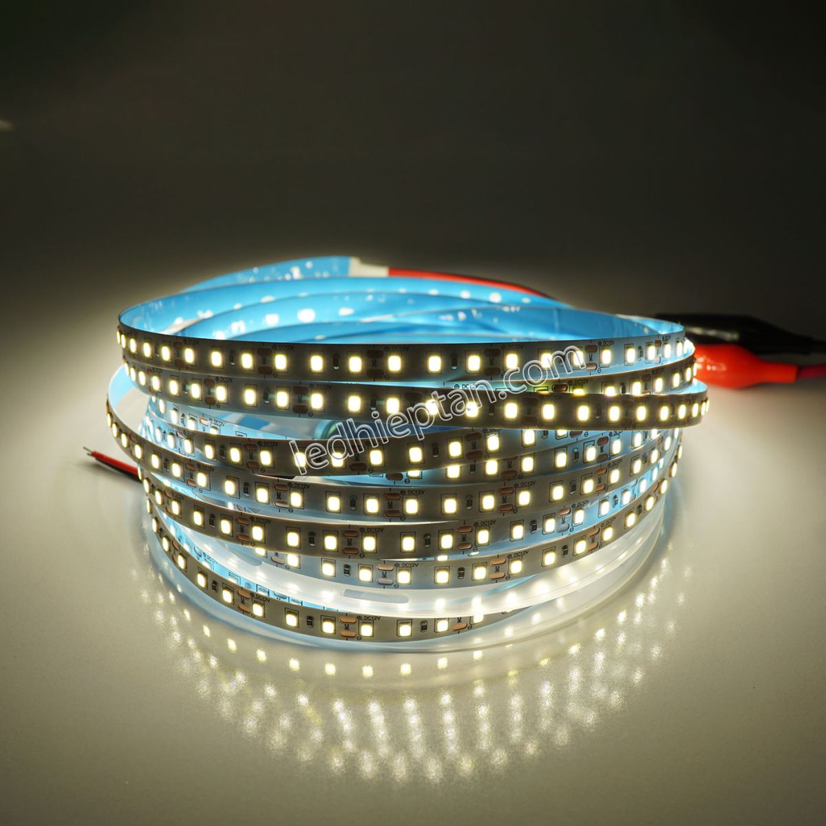 LED dây 3528 trắng 120 led IP20 12V cuộn 5m